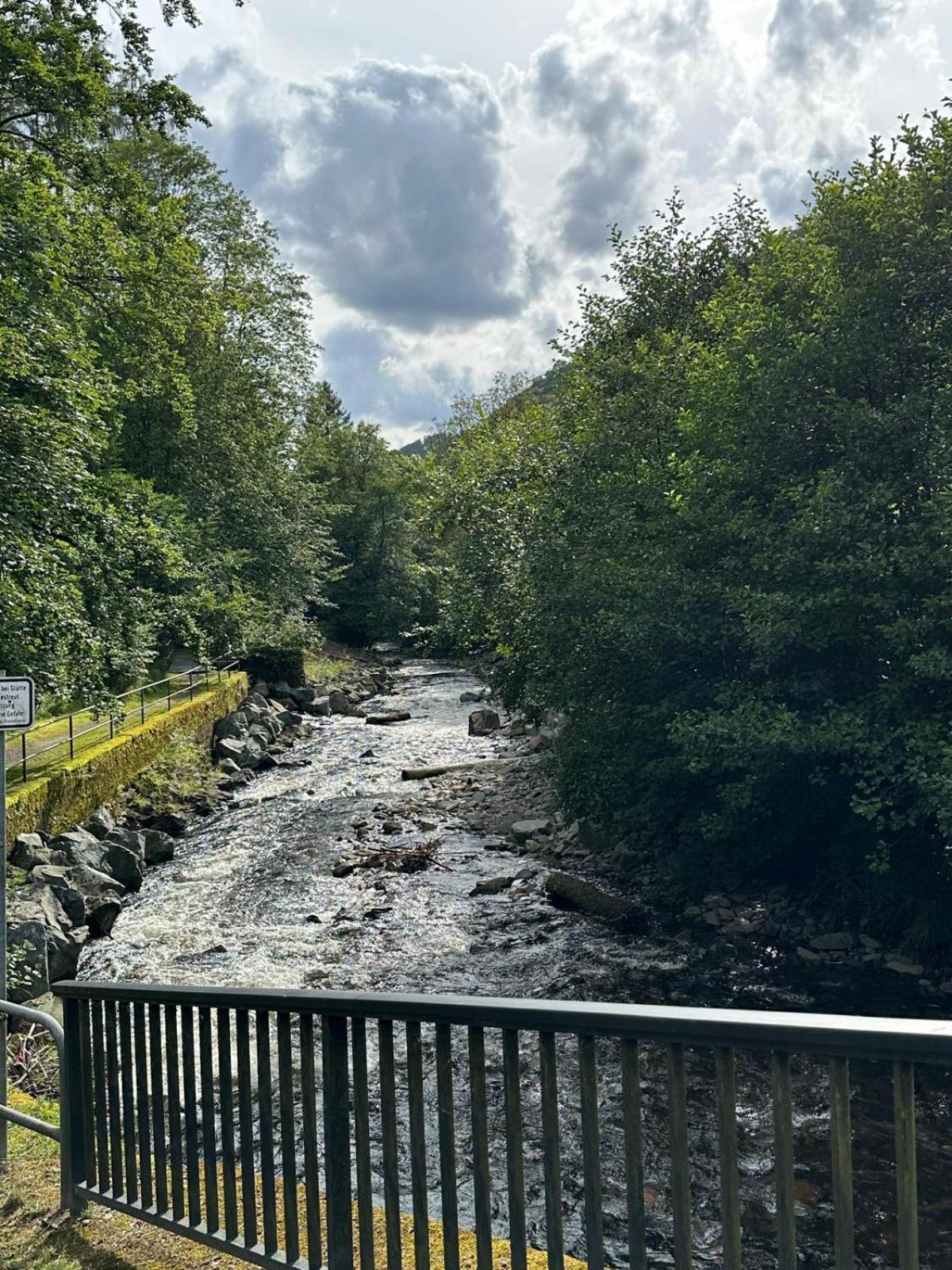 Ferienbutzen Harz Heikenberg, Bad Lauterberg Mit Schwimmbad Und Sauna Buitenkant foto