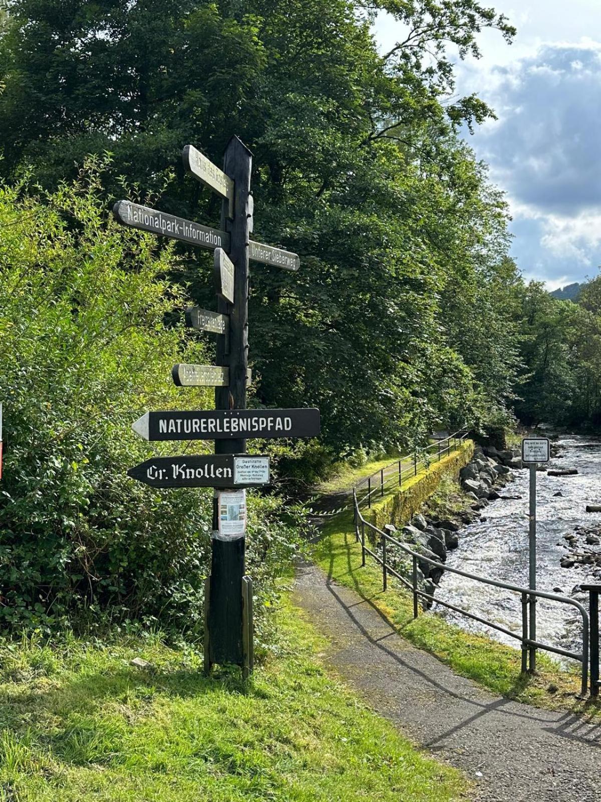 Ferienbutzen Harz Heikenberg, Bad Lauterberg Mit Schwimmbad Und Sauna Buitenkant foto