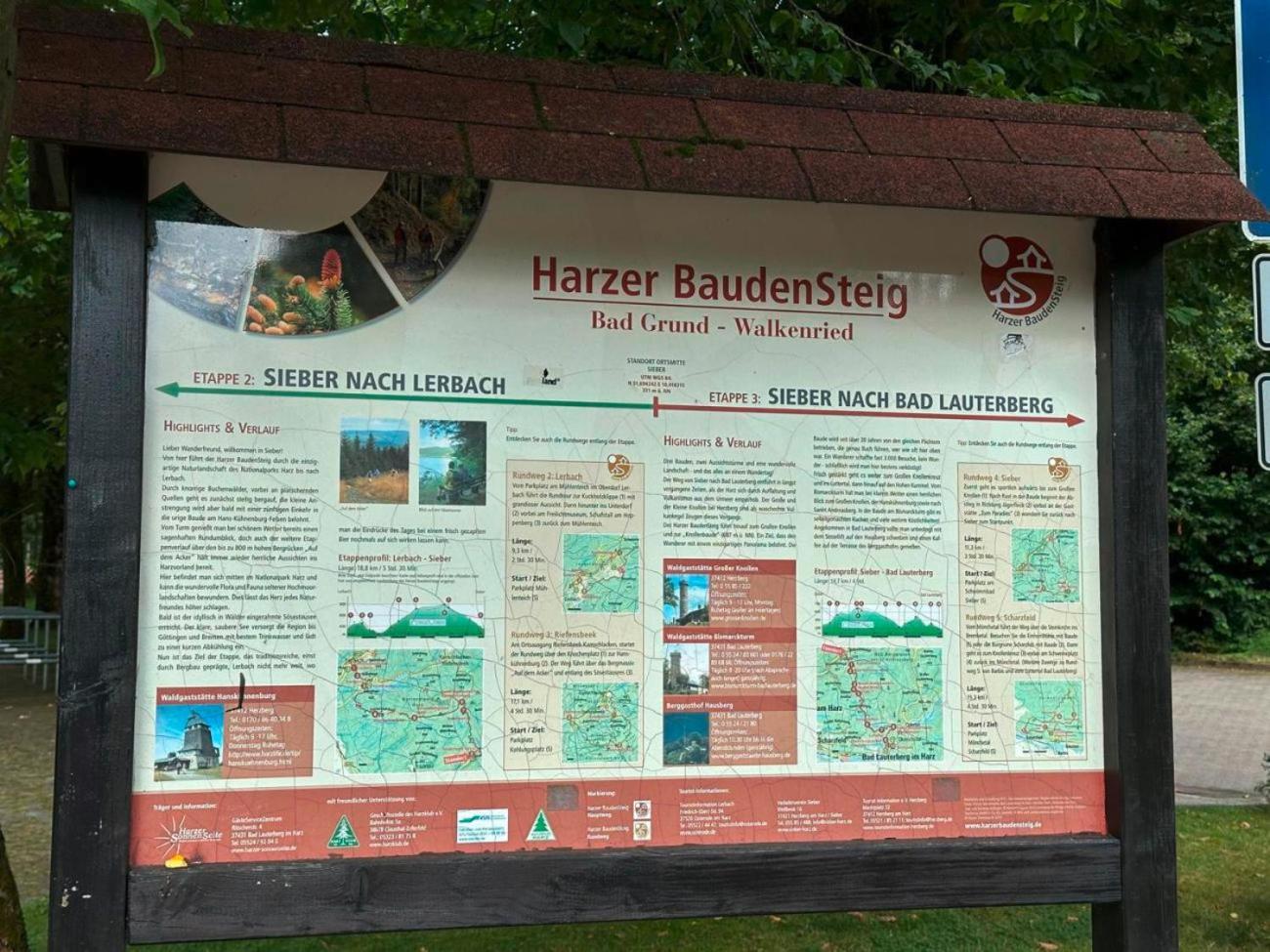 Ferienbutzen Harz Heikenberg, Bad Lauterberg Mit Schwimmbad Und Sauna Buitenkant foto